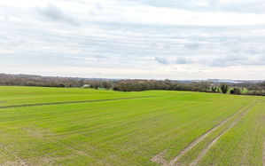 Photo 1- click for photo gallery